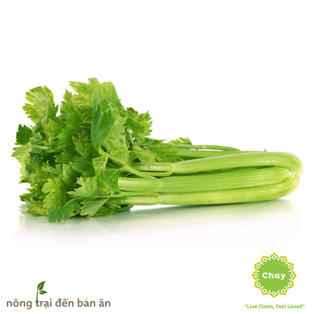 Cần tây