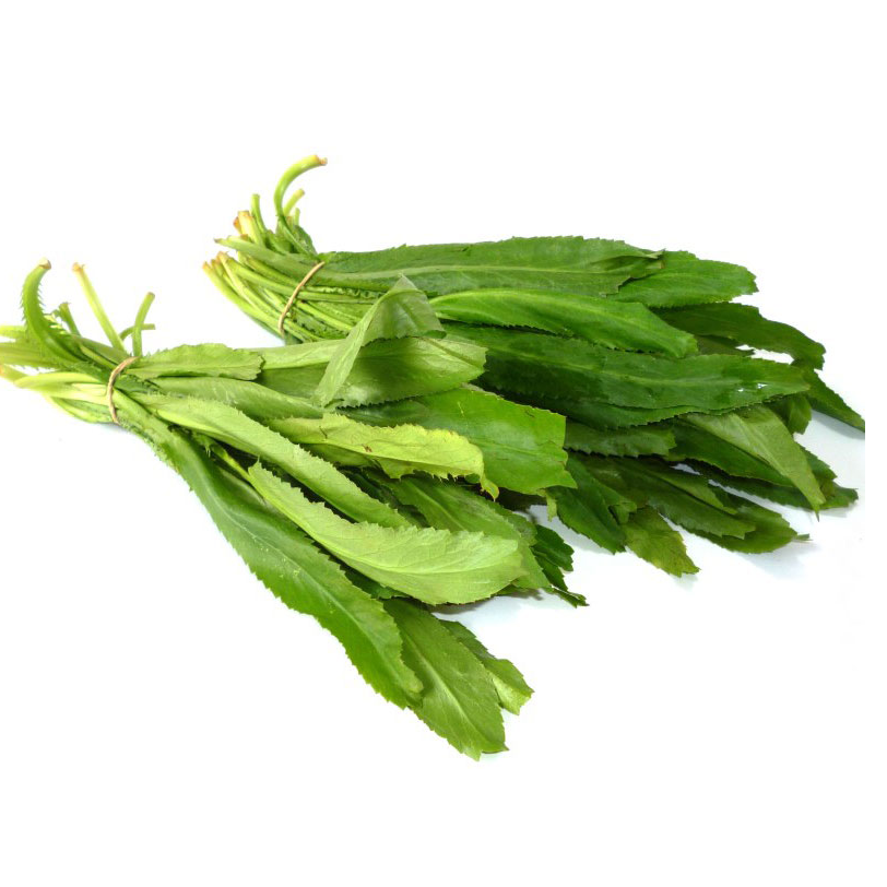 Mùi tàu