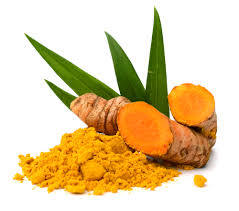 Nghệ