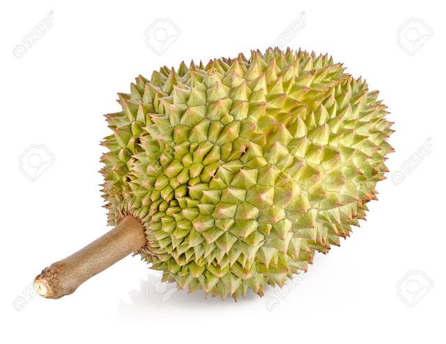 Sầu riêng